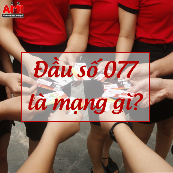 đầu số 077 là mạng gì