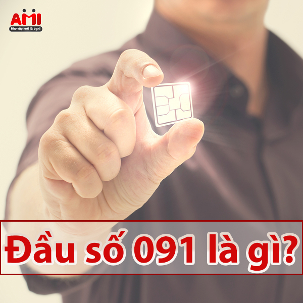 Đầu số 091 là mạng gì