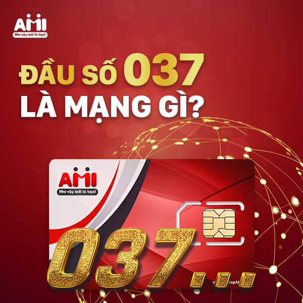 Đầu Số 037 Là Mạng Gì? Vén Màn Sự Thật Ý Nghĩa Đầu Số 037