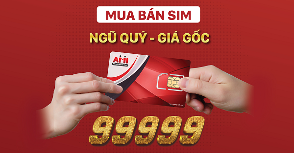 sim-ngu-quy_1