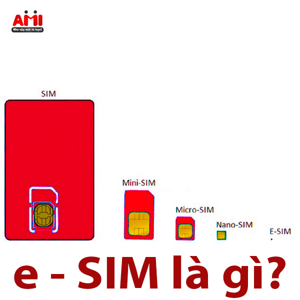 e sim là gì