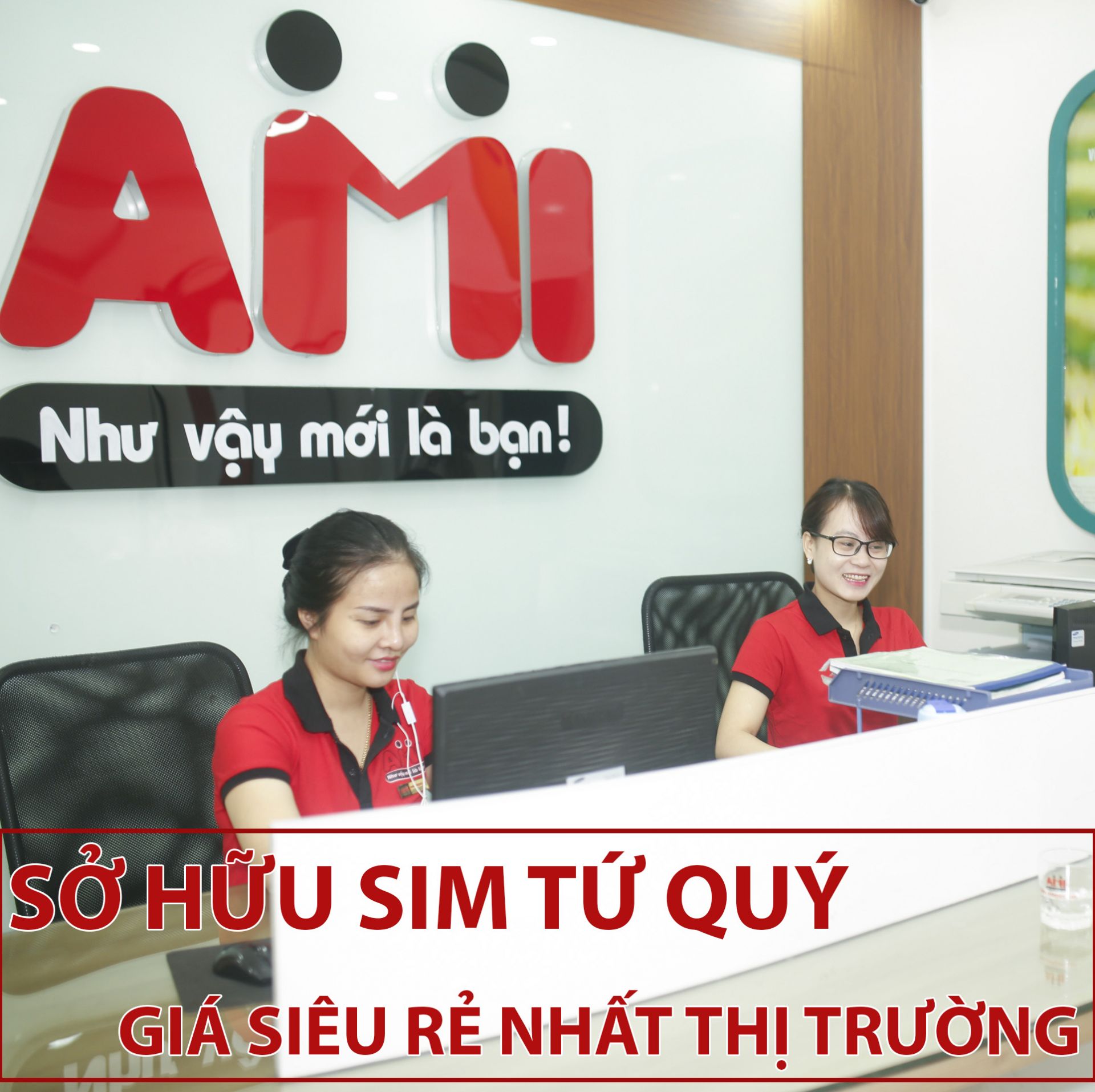 nua sin tứ quý giá siêu rẻ
