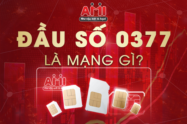 Bất Ngờ Với Lời Giải Đáp Đầu Số 0377 Là Mạng Gì?