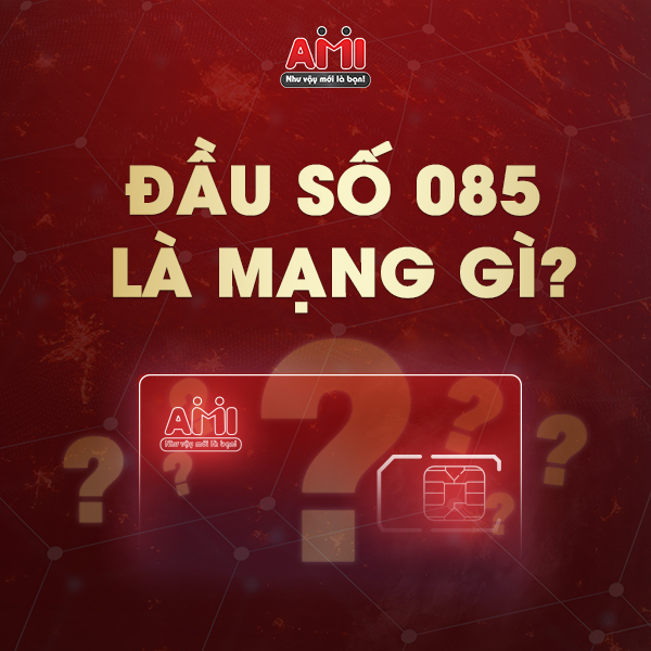 Đầu Số 085 Là Mạng Gì? Ý Nghĩa Đặc Biệt Của Đầu Số 085