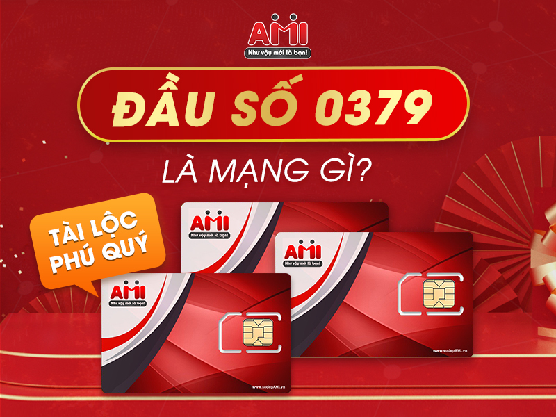dau-so-0379-la-mang-gi