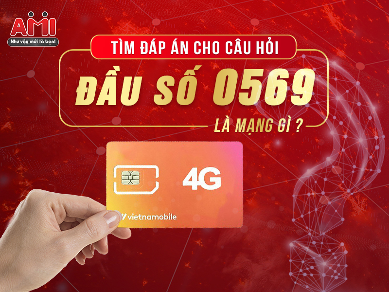 Làm thế nào để kiểm tra thông tin chi tiết về đầu số 0569?