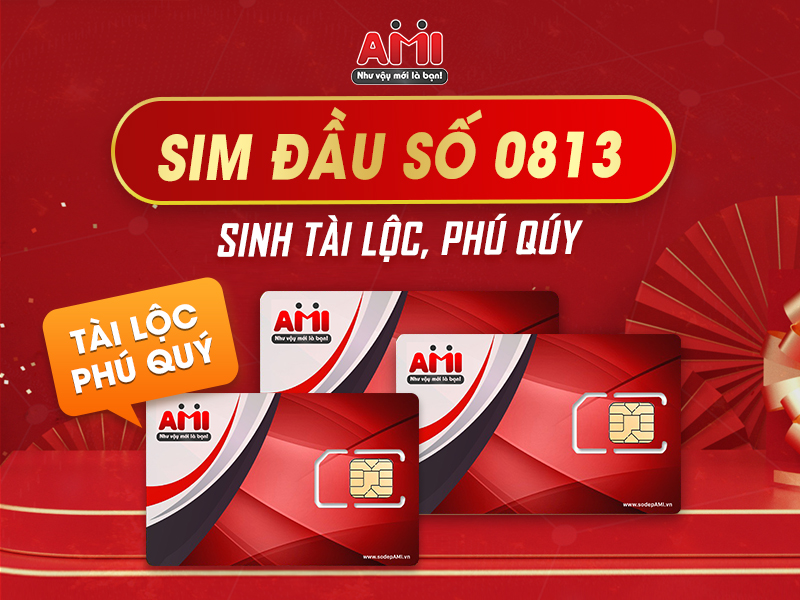 Đầu Số 0813 Là Mạng Gì Và Những Bí Ẩn Phía Sau Cần Lời Giải Đáp