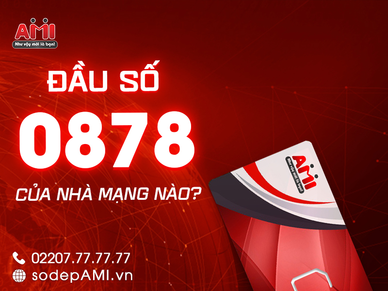 Những Điều Cần Biết Về Sim Đầu Số 0878 Là Mạng Gì?