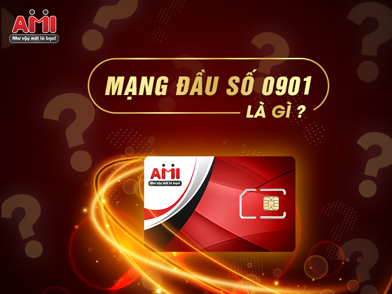 dau-so-0901-la-mang-gi