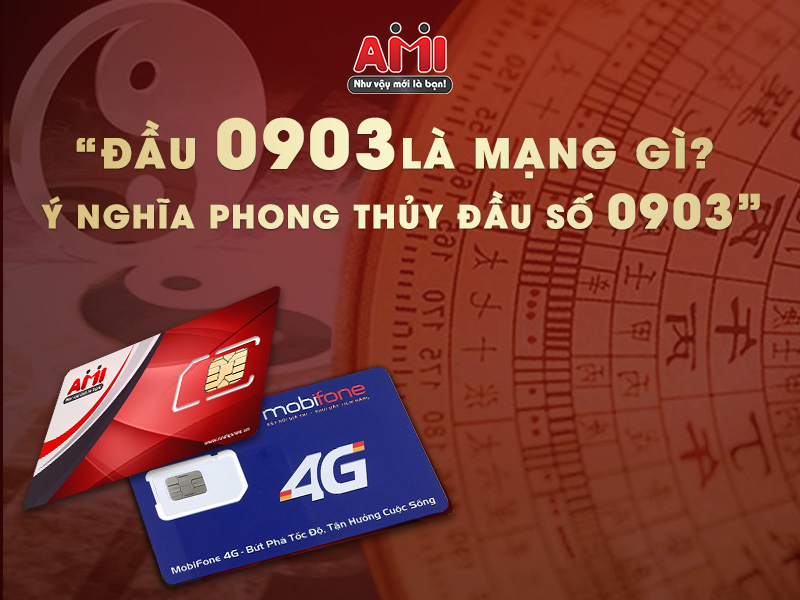 dau-so-0903-la-mang-gi