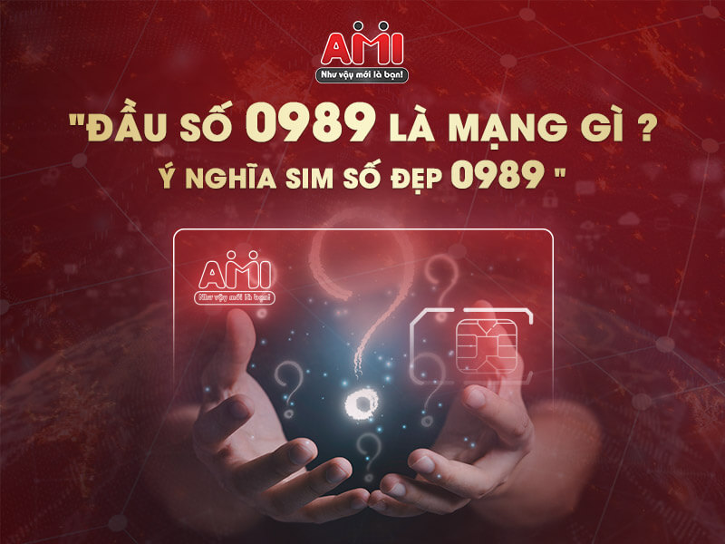 dau-so-0989-la-mang-gi-1