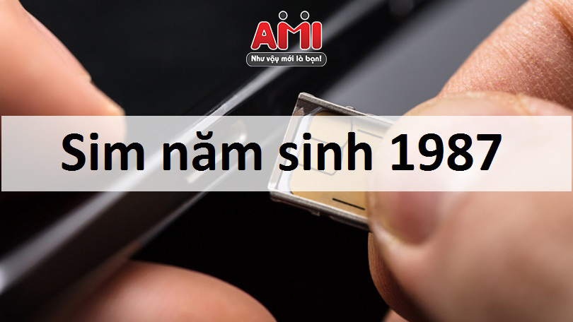 hinh1-sim-nam-sinh-1987
