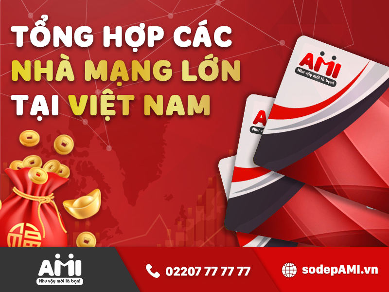 nha-mang-lon_1