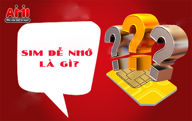 sim-de-nho-la-gi