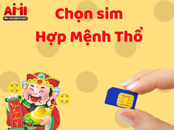 sim-hop-menh-tho