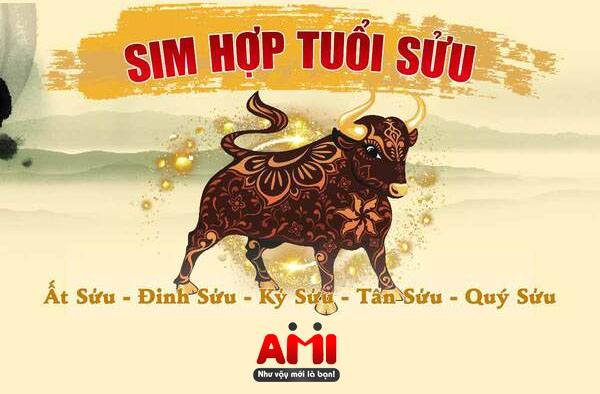 sim-hop-tuoi-suu