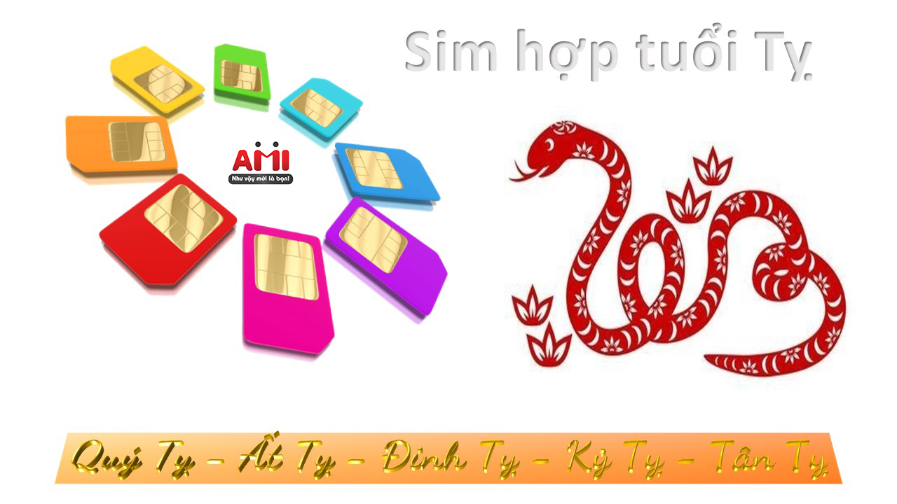sim-hop-tuoi-ty_1