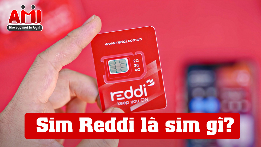 sim-reddi