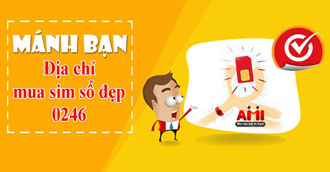 sim-so-dep-0246-3