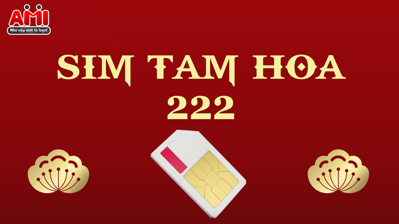 sim-tam-hoa-222
