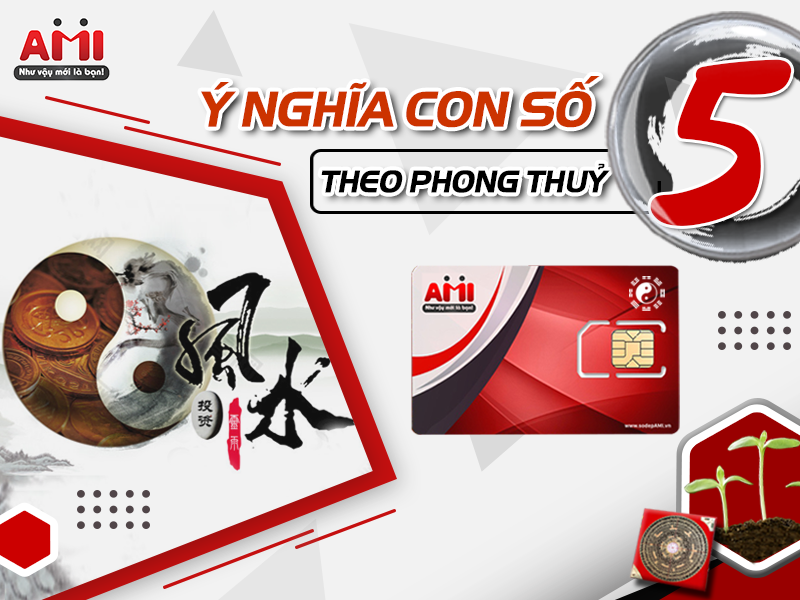 y-nghia-con-so-5-pt