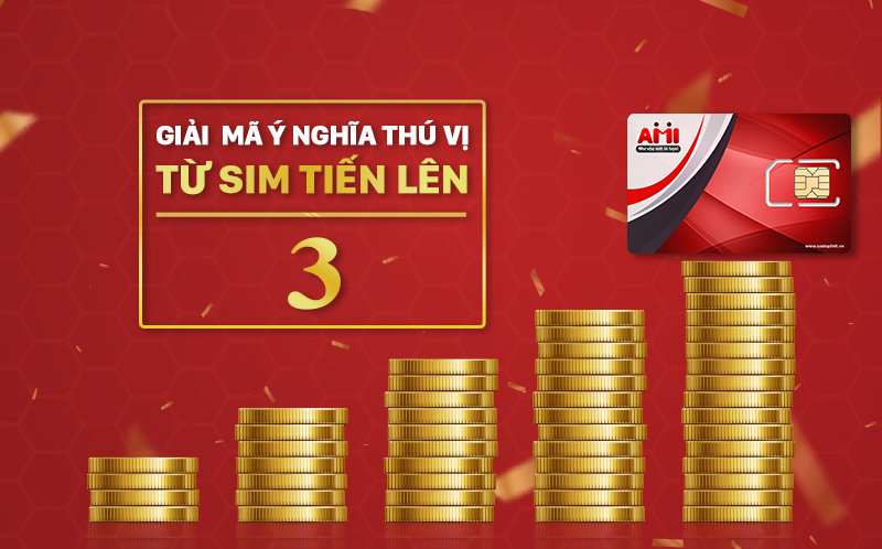 y-nghia-sim-tien-1