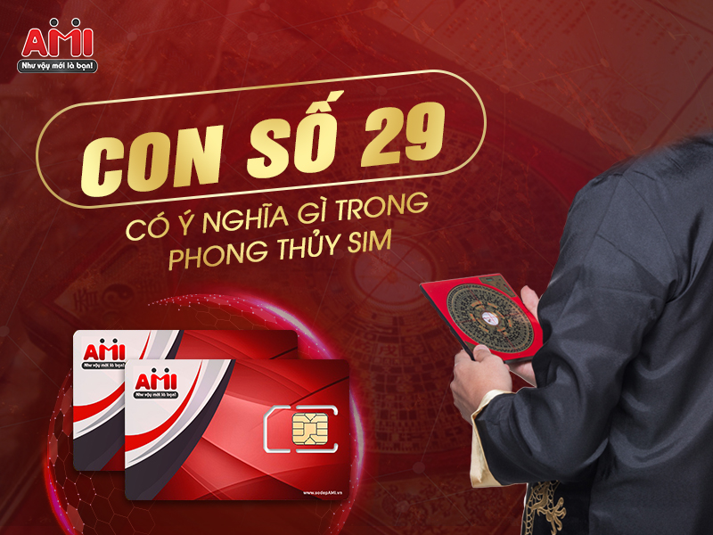 y-nghia-so-29-1