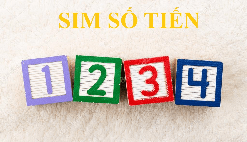 Sim sảnh tiến hay còn có tên gọi là sim tiến