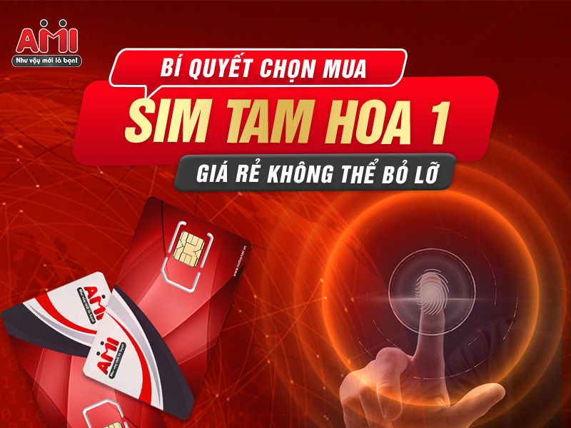 sim tam hoa 1