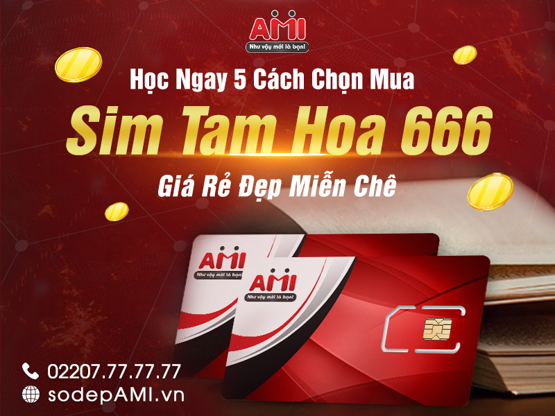 sim tam hoa 666