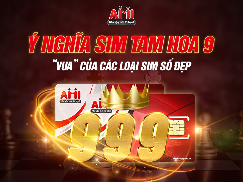 sim tam hoa 999