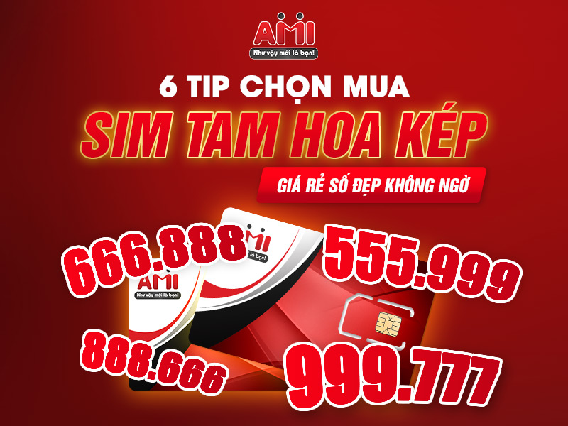 sim tam hoa kép đẹp
