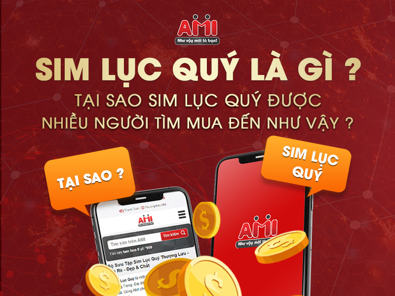 sim lục quý