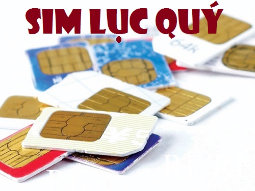 sim lục quý