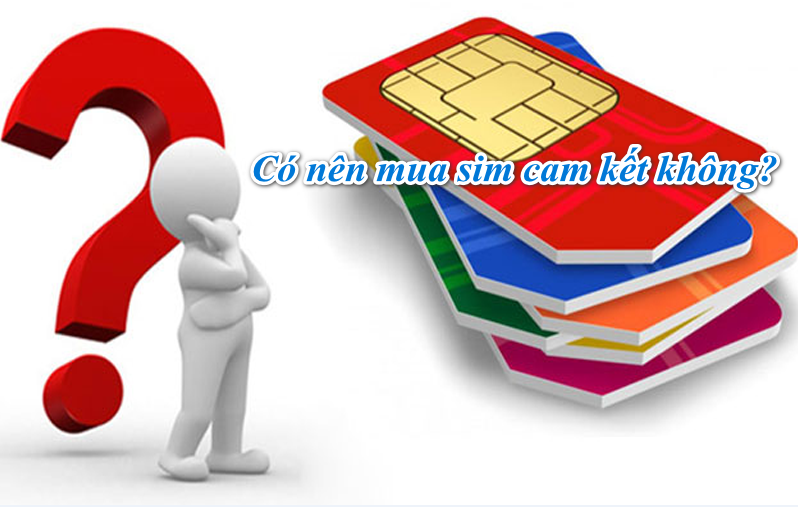 có nên mua sim tứ quý cam kết